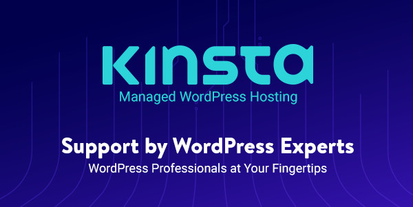 Kinsta WP Hosting
