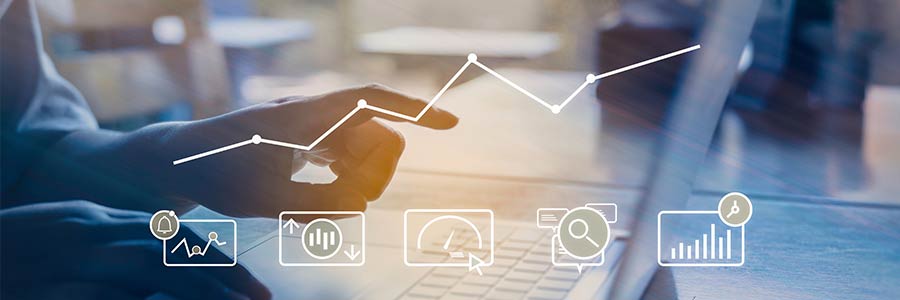 SEO Project Management