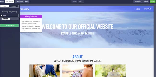 Web.com Interface