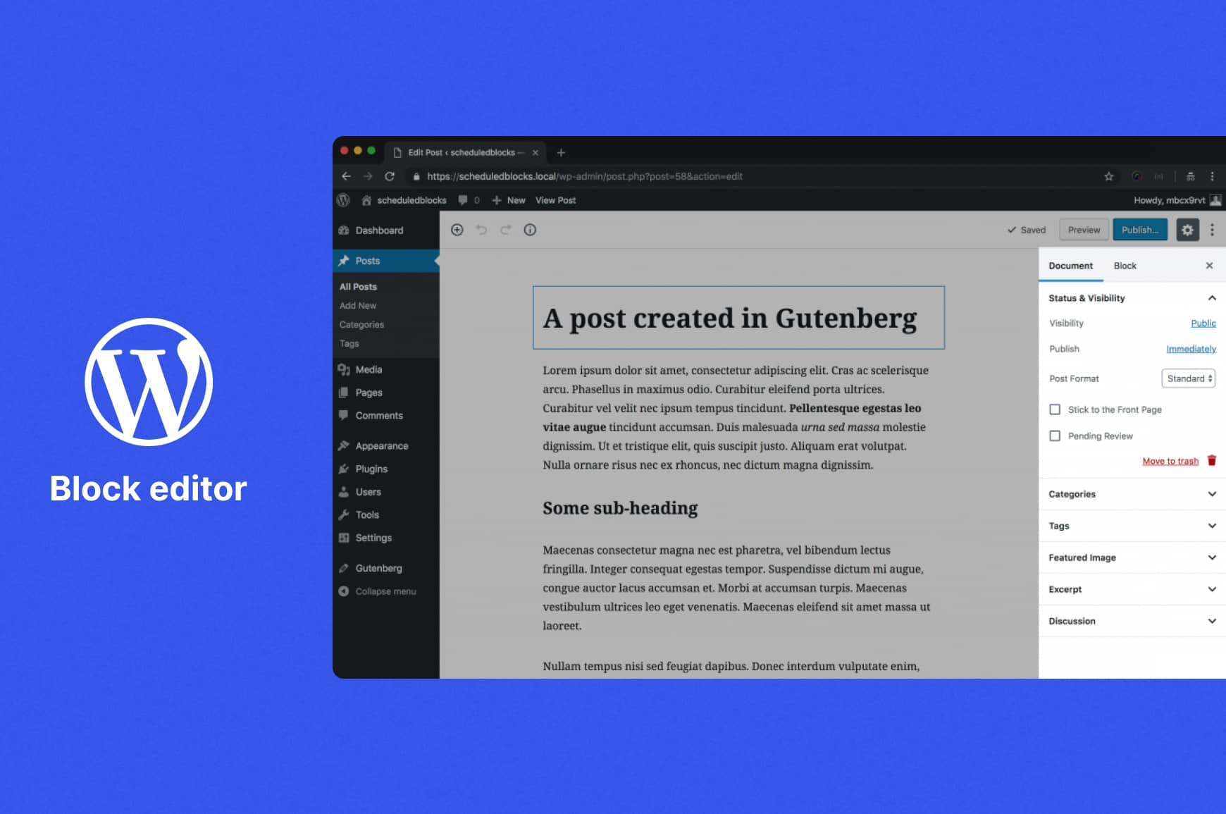 Screenshot of the WordPress.com Gutenberg block editor highlighting categories, tags, featured image, and scheduling options for blogging
