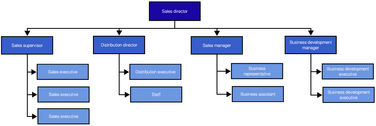Sales Organizational Chart